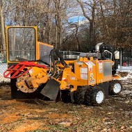 Stump Removal