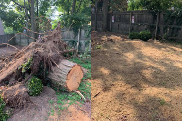 Before and After - 1