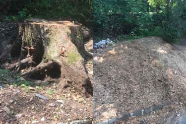 Before and After - 2