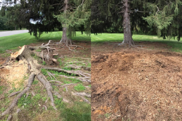 Before and After - 3