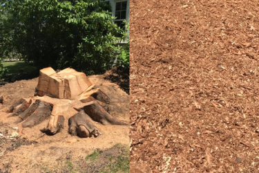 Before and After - 4