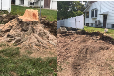 Before and After - 5