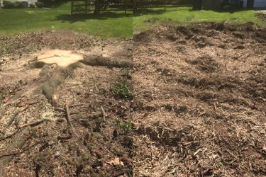 Before and After - 6