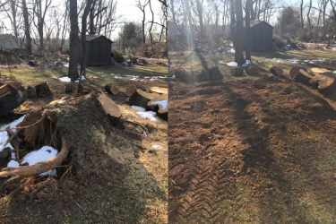 Before and After - 7