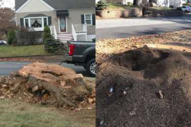 Before and After - 8