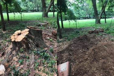 Before and After - 9