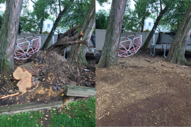 Before and After - 10