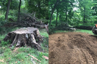 Before and After - 11