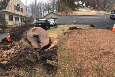 Before and After - 12