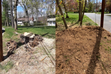 Before and After - 13