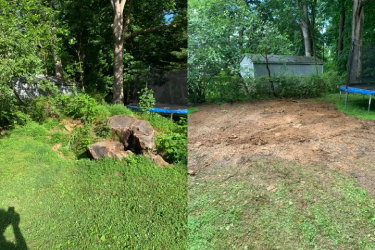 Before and After - 14